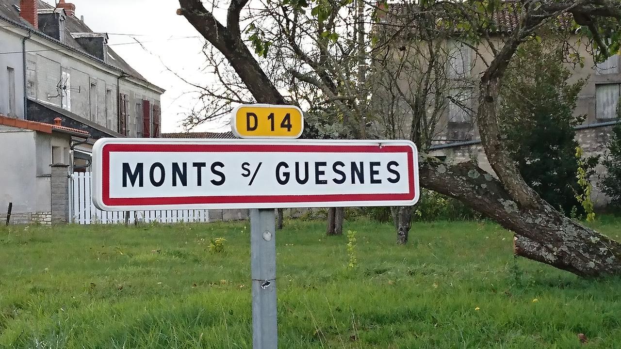 Monts-sur-GuesnesL'Olivier别墅 外观 照片