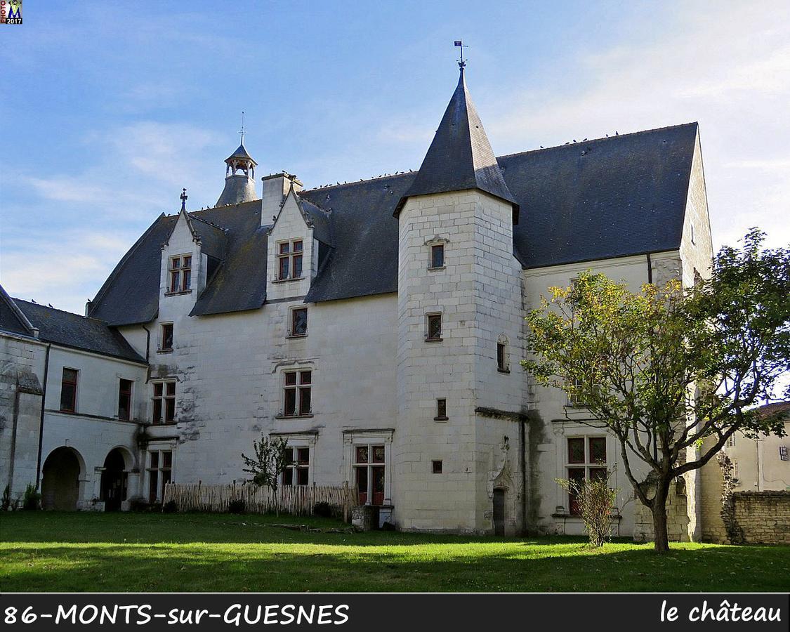 Monts-sur-GuesnesL'Olivier别墅 外观 照片