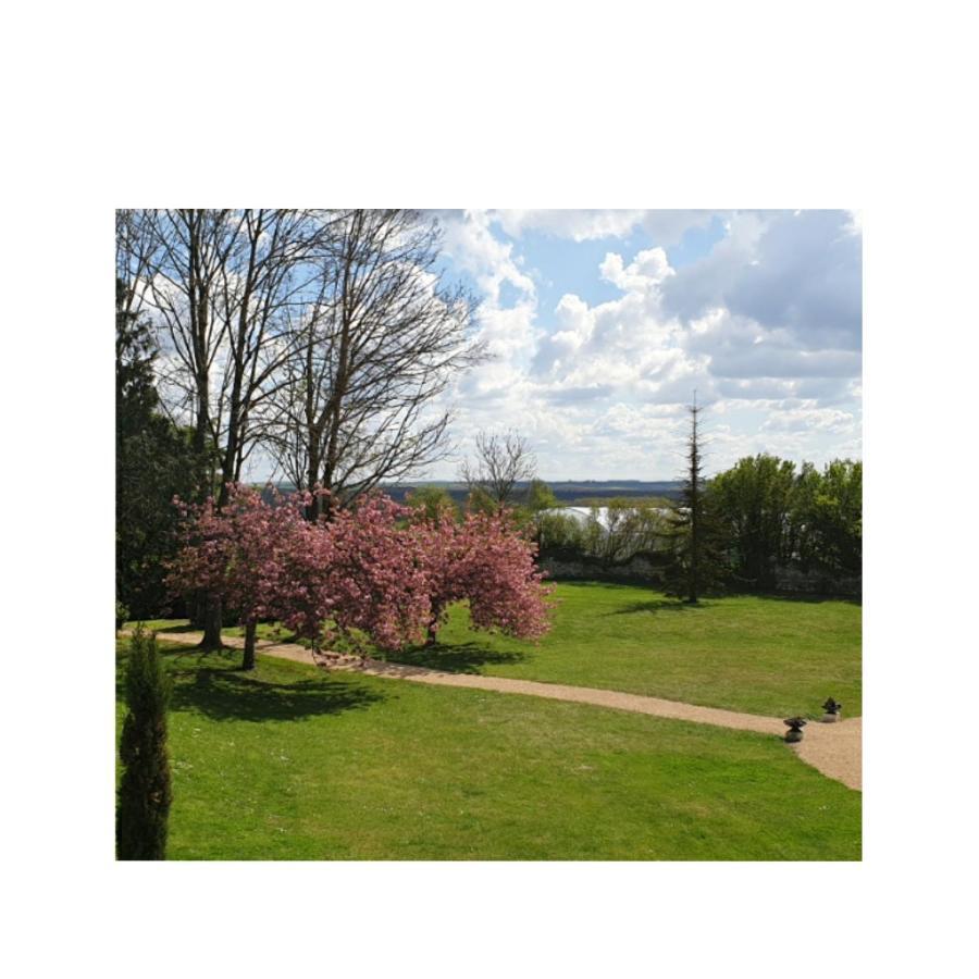 Monts-sur-GuesnesL'Olivier别墅 外观 照片